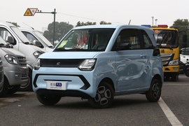 2022款东风 风光MINIEV 舒适型