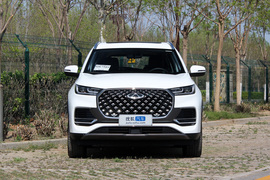 2022款奇瑞瑞虎8