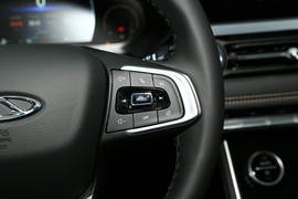 2021款奇瑞瑞虎8