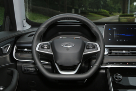 2021款奇瑞瑞虎8