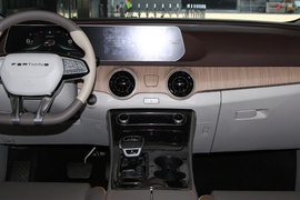 2022款东风风行·游艇