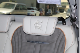 2022款东风风行·游艇