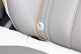 2022款东风风行·游艇