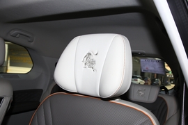 2022款东风风行·游艇