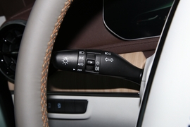 2022款东风风行·游艇