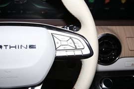 2022款东风风行·游艇