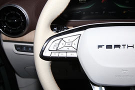 2022款东风风行·游艇