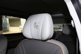 2022款东风风行·游艇