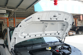 2022款东风风行·游艇