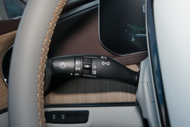 2022款东风风行·游艇