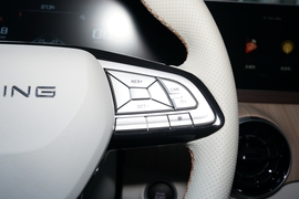 2022款东风风行·游艇