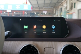 2022款东风风行·游艇