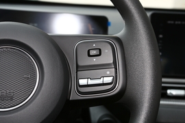 2022款长城金刚炮