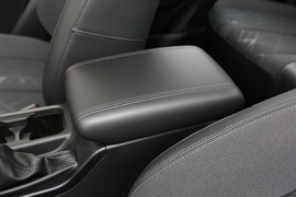 2022款长城金刚炮