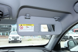 2022款奇瑞瑞虎8