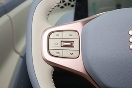 2022款东风风光MINIEV