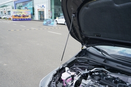 2022款丰田亚洲狮