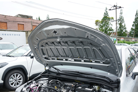 2022款丰田亚洲狮