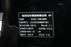 2022款东风风神皓极