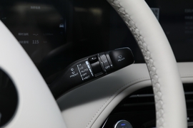 2022款东风风神皓极