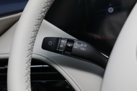 2022款东风风神皓极