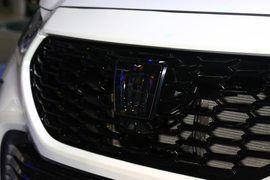 一汽-丰田皇冠陆放