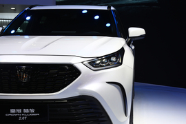 一汽-丰田皇冠陆放