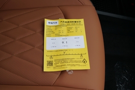 2021款奇瑞瑞虎8