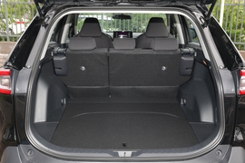 2022款丰田威兰达