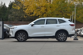   2022款哈弗H6 第三代 1.5T 自动两驱Max