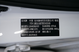 2022款东风风行T5