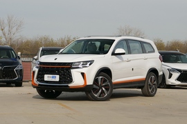 2022款东风风行T5