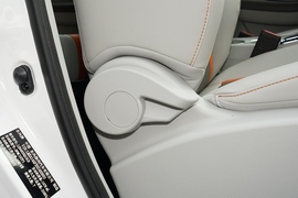 2022款东风风行T5