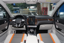 2022款东风风行T5