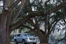 2015款凯迪拉克凯雷德