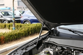 2023款哈弗二代大狗新能源