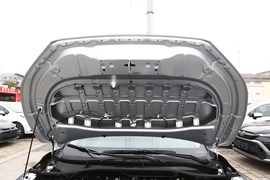 2023款丰田锋兰达