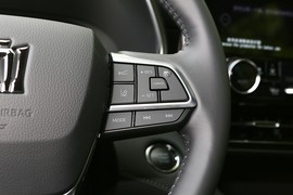 2023款丰田皇冠陆放