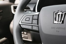 2023款丰田皇冠陆放