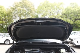 2023款丰田皇冠陆放