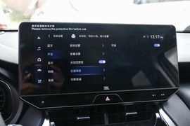 2023款丰田威飒