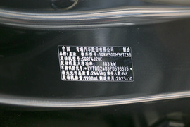 2024款星途揽月国际版