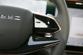 2024款星途揽月国际版