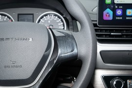 2024款东风风行T5