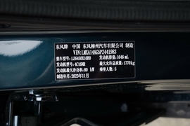 2024款东风风行T5