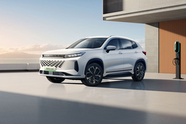 2024款星途追风C-DM