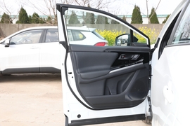 2024款丰田铂智4X