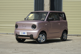 2024款吉利熊猫mini