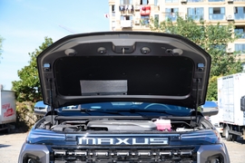 2023款上汽大通星际H