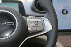 2024款比亚迪海豚